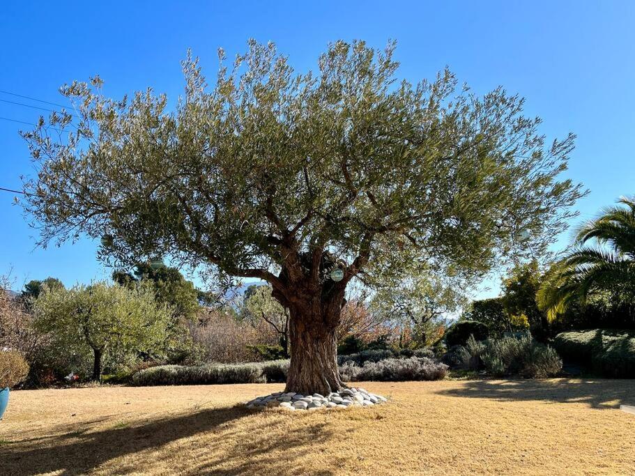 Villa Et Piscine Au Jardin Typique Mediterraneen Carros Exteriör bild